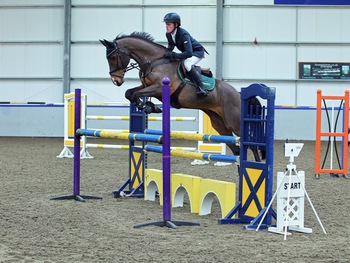 SEIB Winter Novice Championship Qualifier at the Scottish National Equestrian Centre